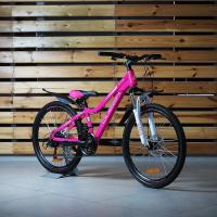 24 Вел-д Aria Queen MS243DW МАРКИРОВКА красный YS8116