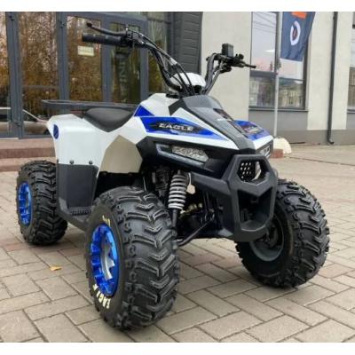 Комплект пластика Motoland EAGLE 110